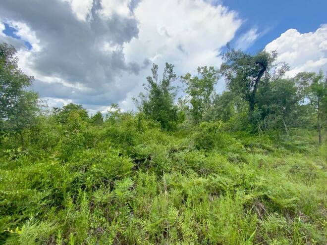 1404 SW Pacific Drive, Lot #110, Greenville, FL 32331