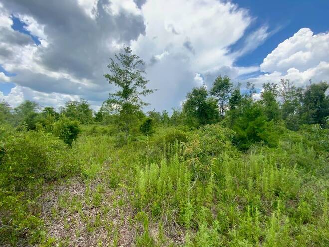 1404 SW Pacific Drive, Lot #110, Greenville, FL 32331