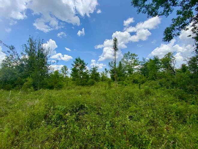 1404 SW Pacific Drive, Lot #110, Greenville, FL 32331