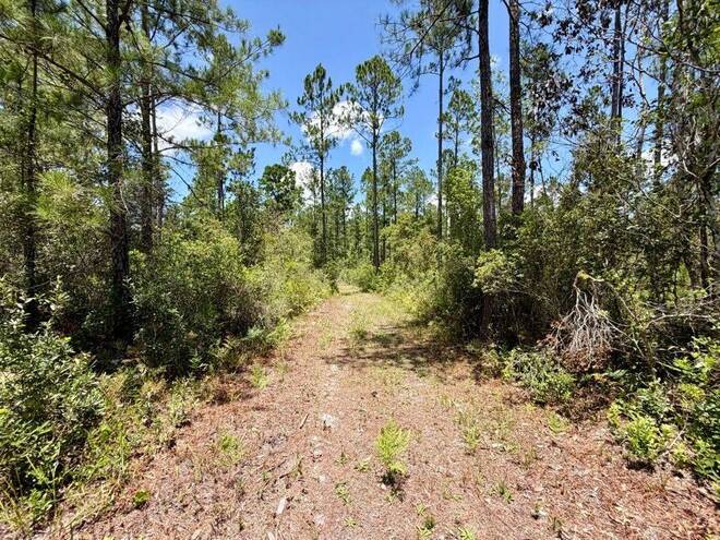 1404 SW Pacific Drive, Lot #110, Greenville, FL 32331