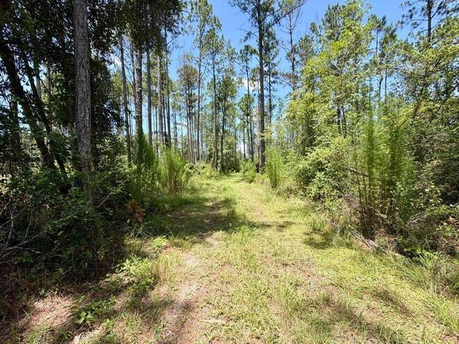 1404 SW Pacific Drive, Lot #110, Greenville, FL 32331