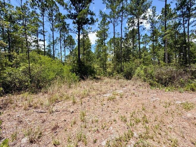 1404 SW Pacific Drive, Lot #110, Greenville, FL 32331