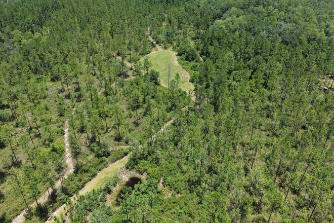 1404 SW Pacific Drive, Lot #110, Greenville, FL 32331