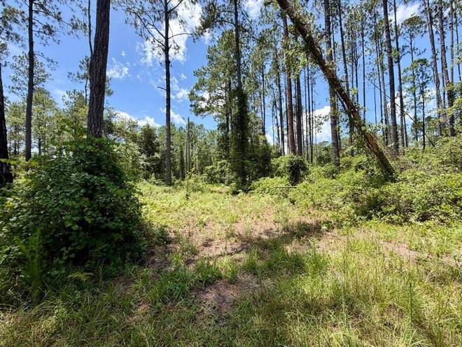 1404 SW Pacific Drive, Lot #110, Greenville, FL 32331