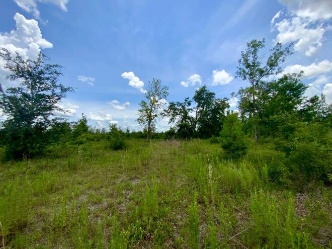 1404 SW Pacific Drive, Lot #110, Greenville, FL 32331