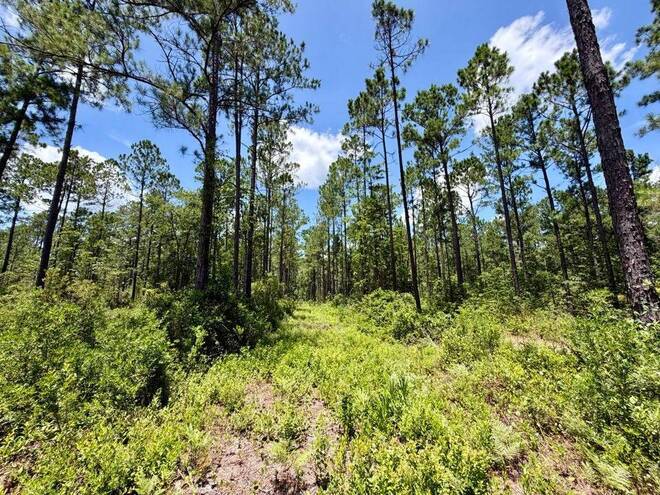1404 SW Pacific Drive, Lot #110, Greenville, FL 32331