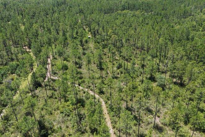 1404 SW Pacific Drive, Lot #110, Greenville, FL 32331