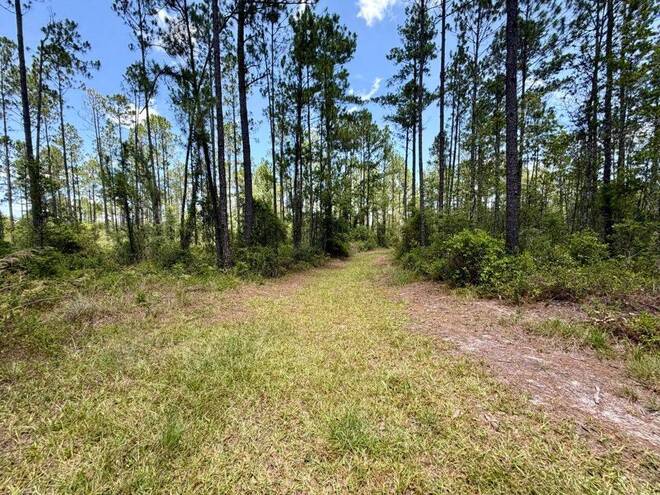 1404 SW Pacific Drive, Lot #110, Greenville, FL 32331