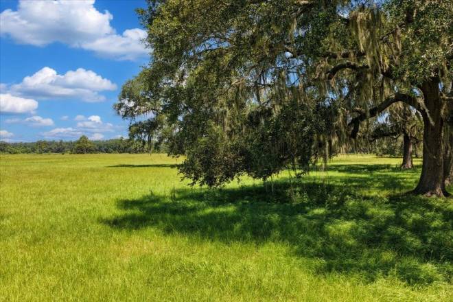 Vacant  N Salt Road, Monticello, FL 32344