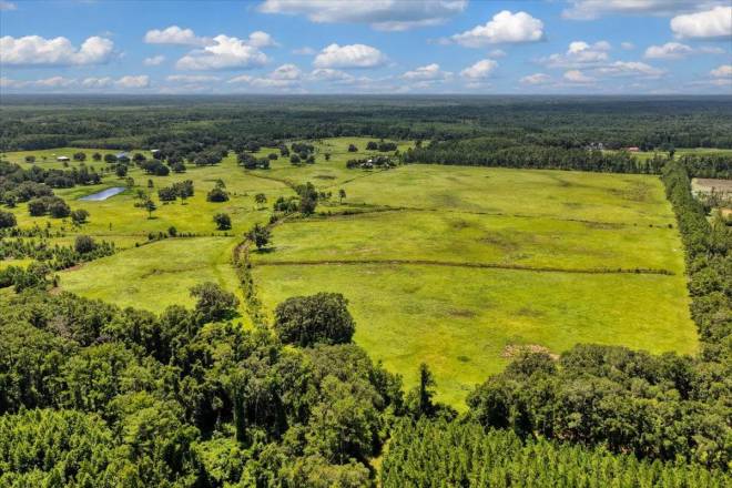 Vacant  N Salt Road, Monticello, FL 32344