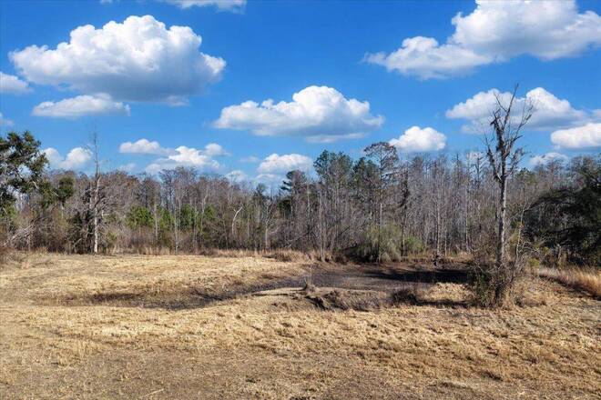 1914 SW Jim Clark Rd, Madison, FL 32340