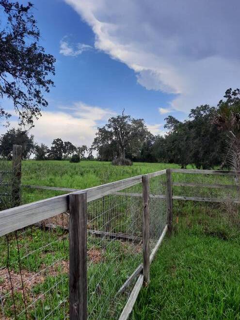 3605 eagle nest dr, hernando beach, FL 34607