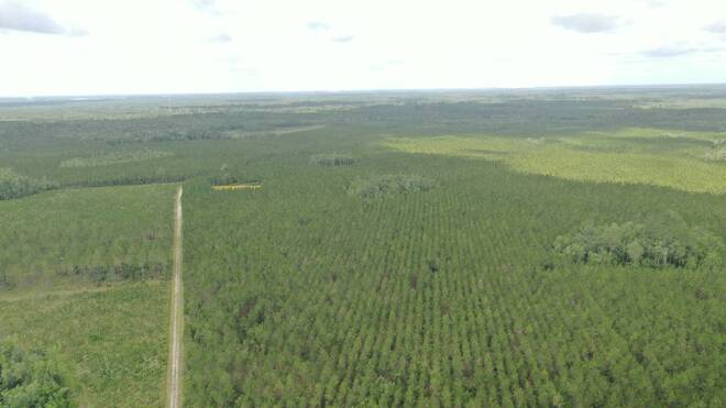 0 US HWY 441 N, LAKE CITY, FL 32055