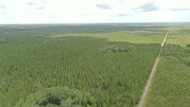 0 US HWY 441 N, LAKE CITY, FL 32055
