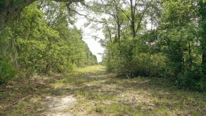 0 US HWY 441 N, LAKE CITY, FL 32055