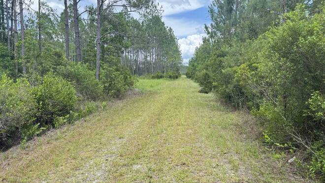 0 US HWY 441 N, LAKE CITY, FL 32055