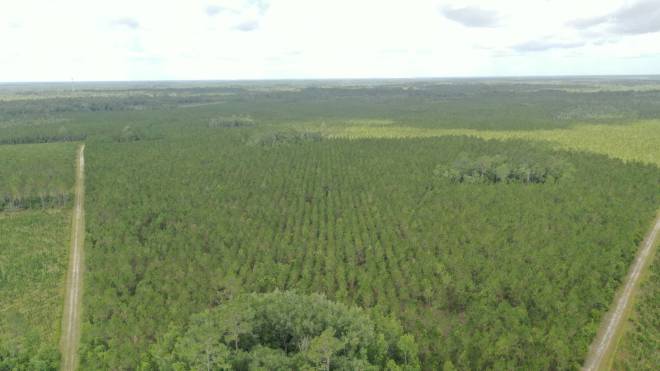 0 US HWY 441 N, LAKE CITY, FL 32055