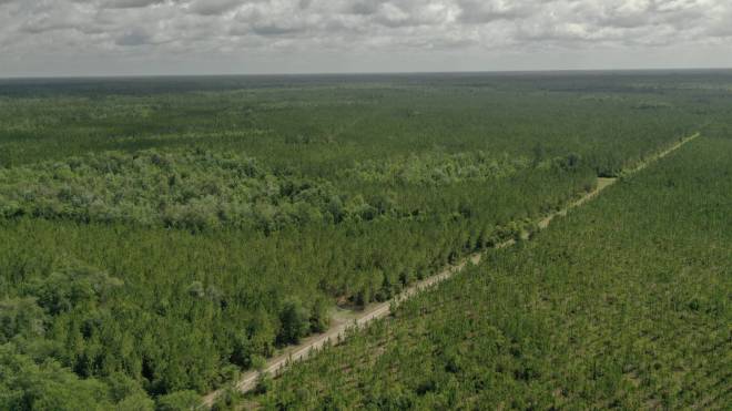 0 US HWY 441 N, LAKE CITY, FL 32055
