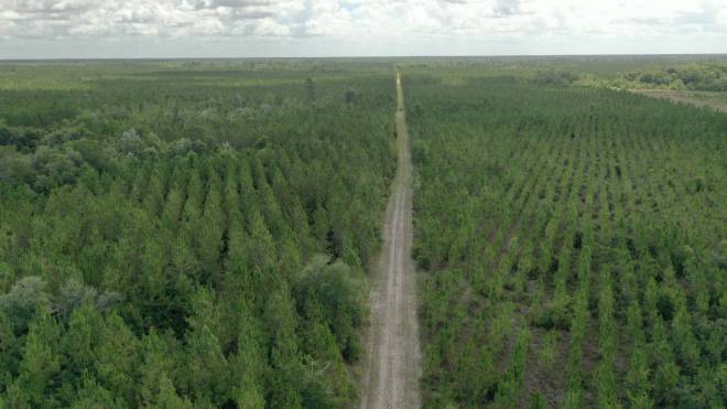 0 US HWY 441 N, LAKE CITY, FL 32055