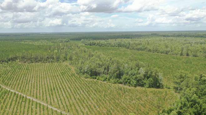 0 US HWY 441 N, LAKE CITY, FL 32055