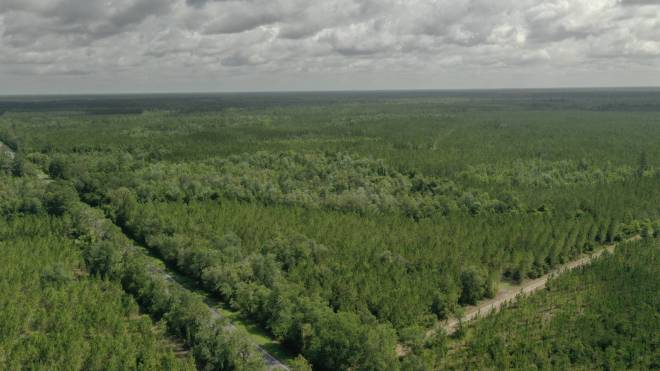 0 US HWY 441 N, LAKE CITY, FL 32055