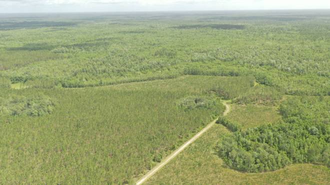 0 US HWY 441 N, LAKE CITY, FL 32055