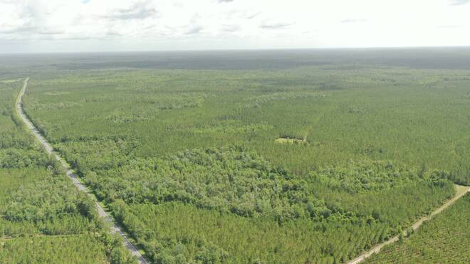 0 US HWY 441 N, LAKE CITY, FL 32055