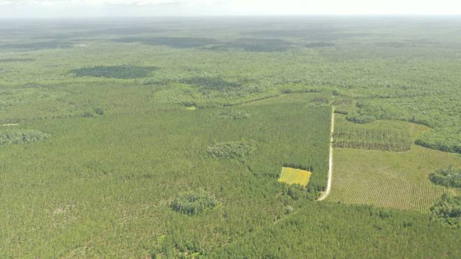 0 US HWY 441 N, LAKE CITY, FL 32055