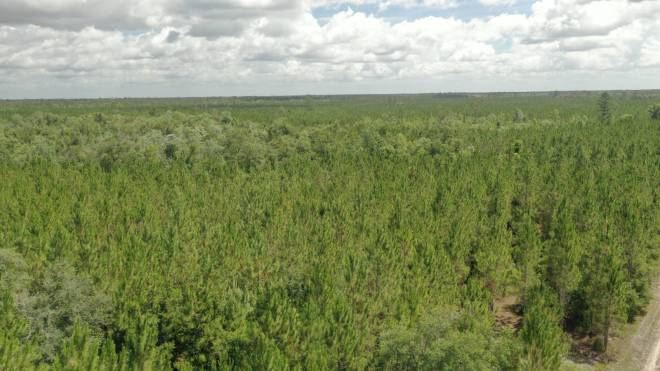 0 US HWY 441 N, LAKE CITY, FL 32055