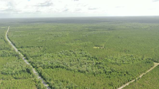 0 US HWY 441 N, LAKE CITY, FL 32055