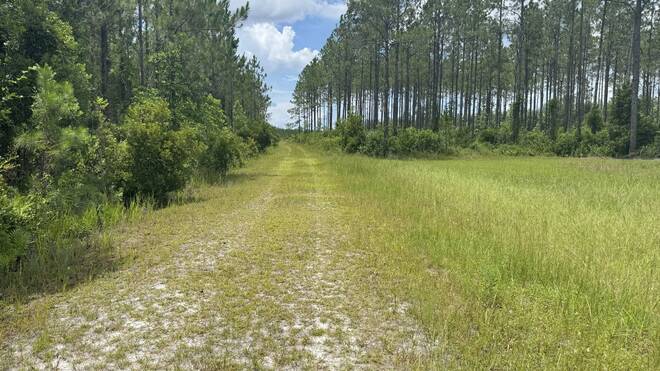0 US HWY 441 N, LAKE CITY, FL 32055