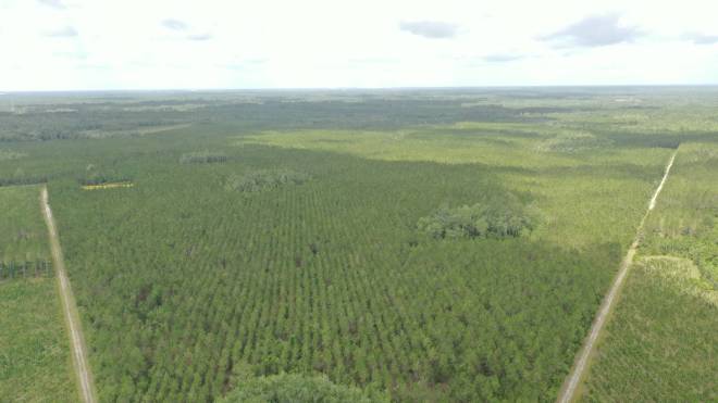0 US HWY 441 N, LAKE CITY, FL 32055