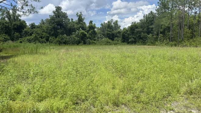 0 US HWY 441 N, LAKE CITY, FL 32055