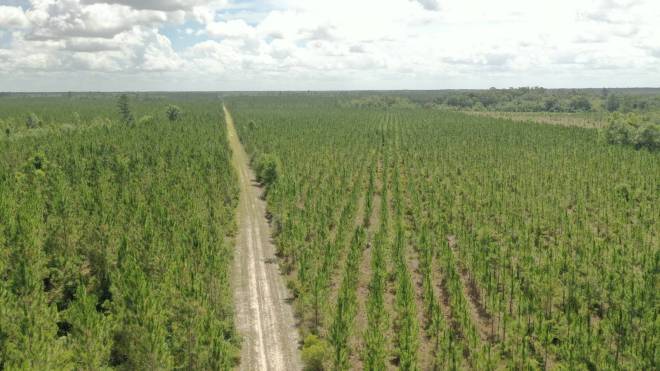 0 US HWY 441 N, LAKE CITY, FL 32055