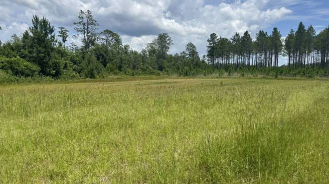 0 US HWY 441 N, LAKE CITY, FL 32055
