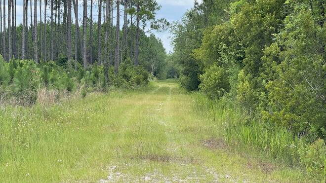 0 US HWY 441 N, LAKE CITY, FL 32055
