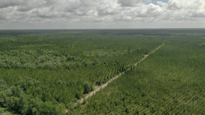 0 US HWY 441 N, LAKE CITY, FL 32055