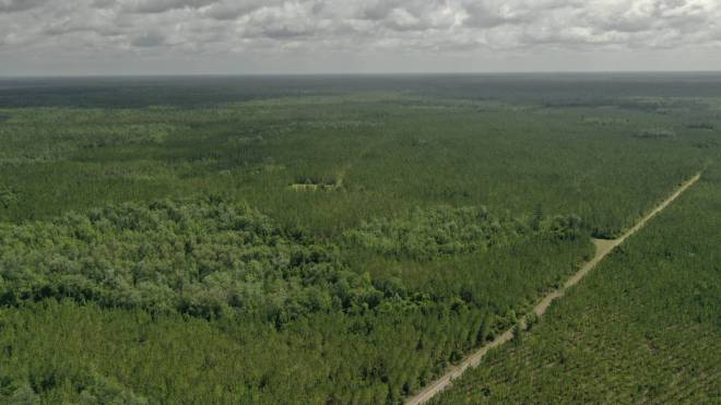 0 US HWY 441 N, LAKE CITY, FL 32055
