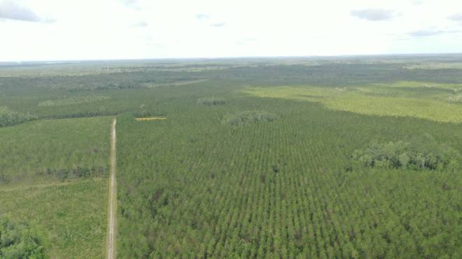 0 US HWY 441 N, LAKE CITY, FL 32055