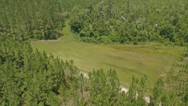 0 US HWY 441 N, LAKE CITY, FL 32055