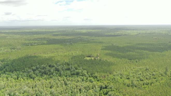 0 US HWY 441 N, LAKE CITY, FL 32055