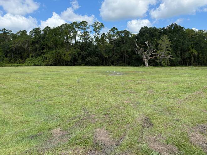 14875 CR 751, Webster, FL 33597