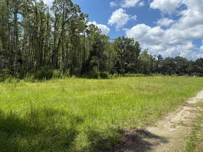 14875 CR 751, Webster, FL 33597