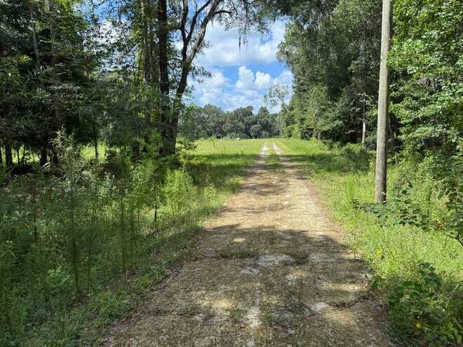 14875 CR 751, Webster, FL 33597