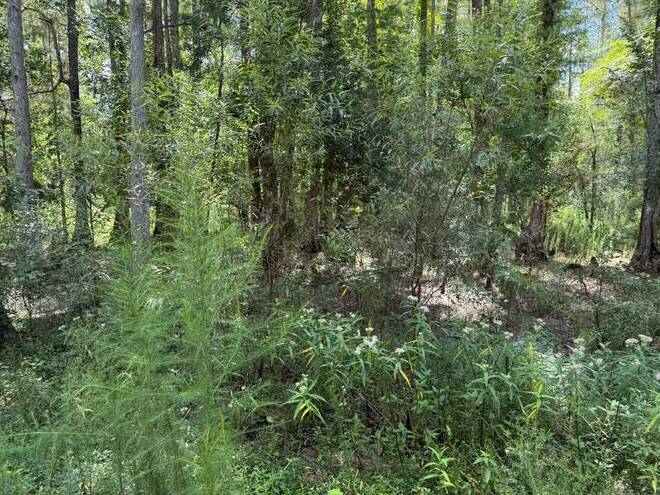 14875 CR 751, Webster, FL 33597