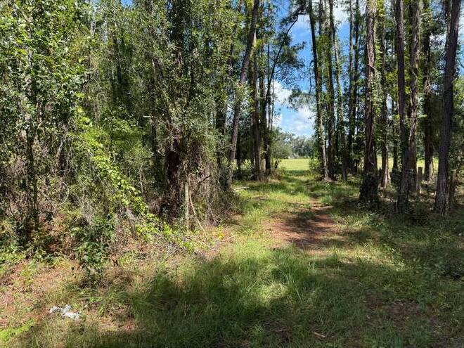 14875 CR 751, Webster, FL 33597