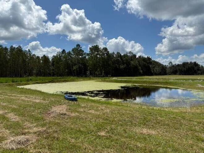 14875 CR 751, Webster, FL 33597