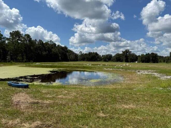 14875 CR 751, Webster, FL 33597