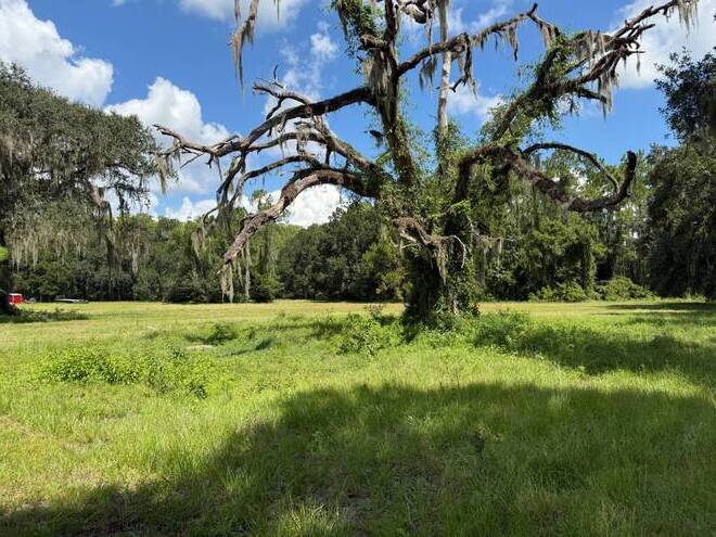 14875 CR 751, Webster, FL 33597