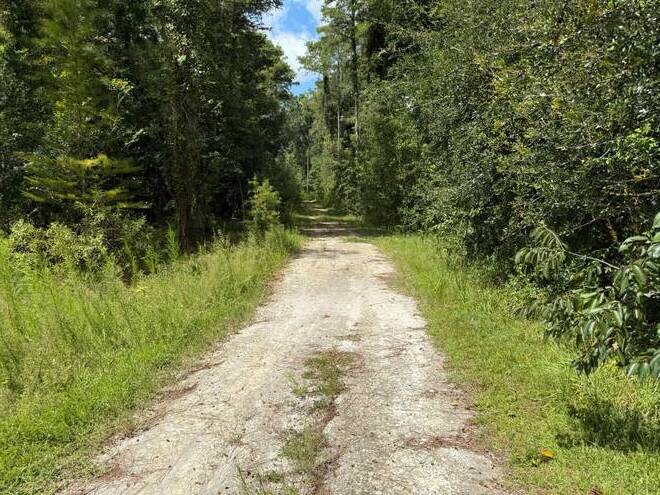 14875 CR 751, Webster, FL 33597